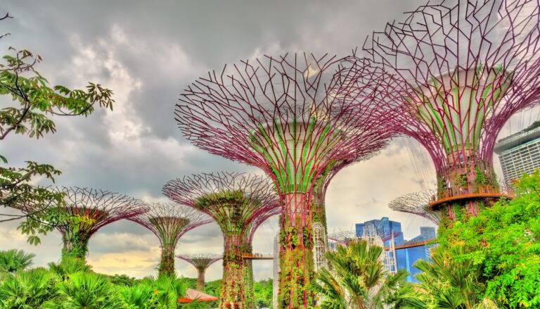 Plan your perfect Singapore vacation with this Best Things to Do in Singapore for Every Kind of Traveler