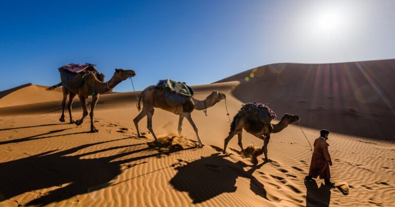 Activities to do in Morocco Marrakech