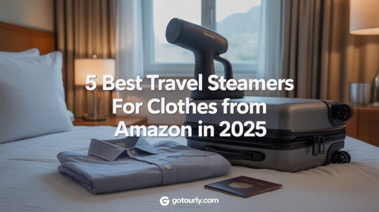 Travel steamer